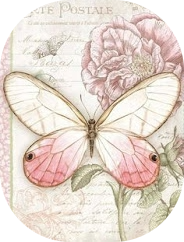 Imagen de mariposa